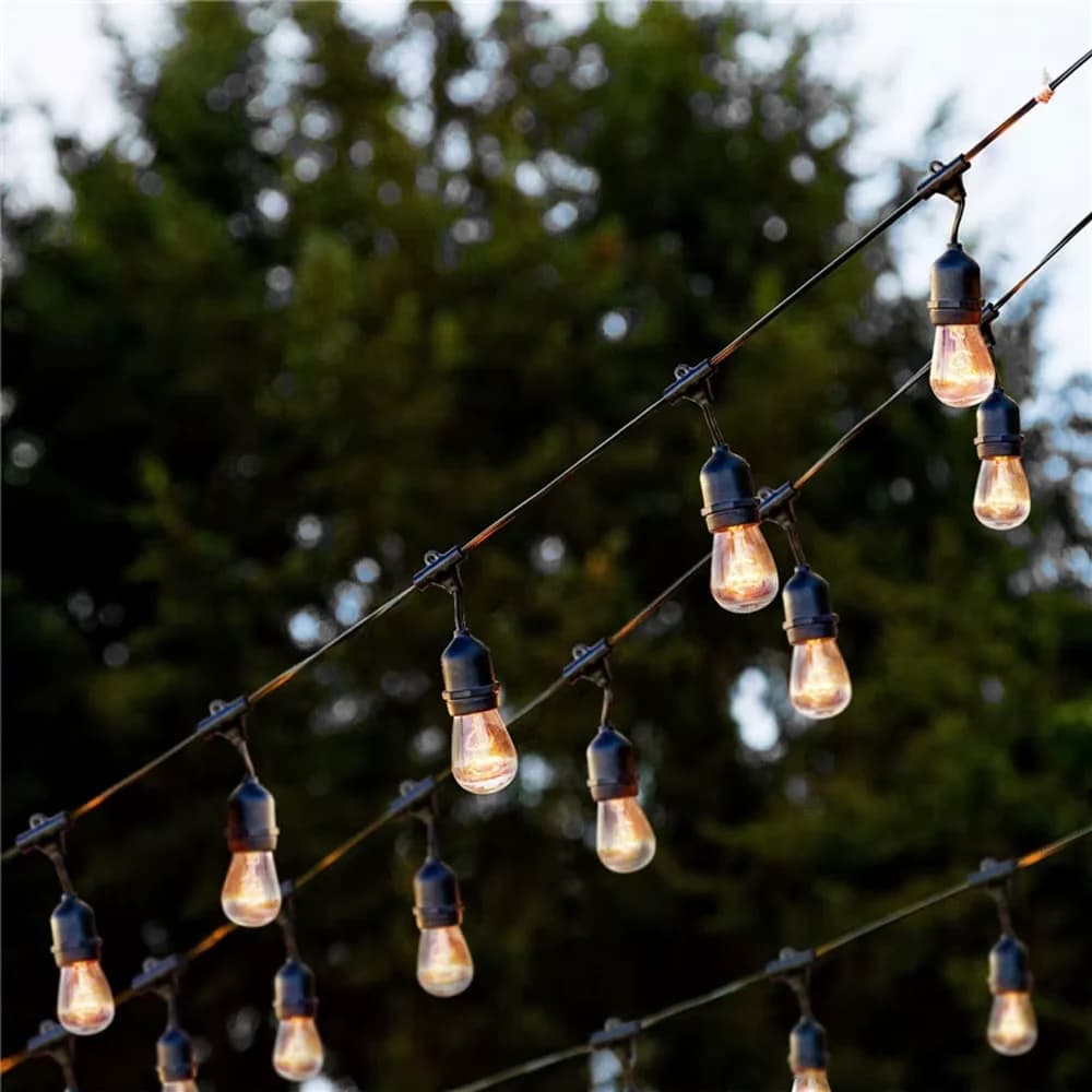 Commercial outdoor string lights suspended overhead between trees